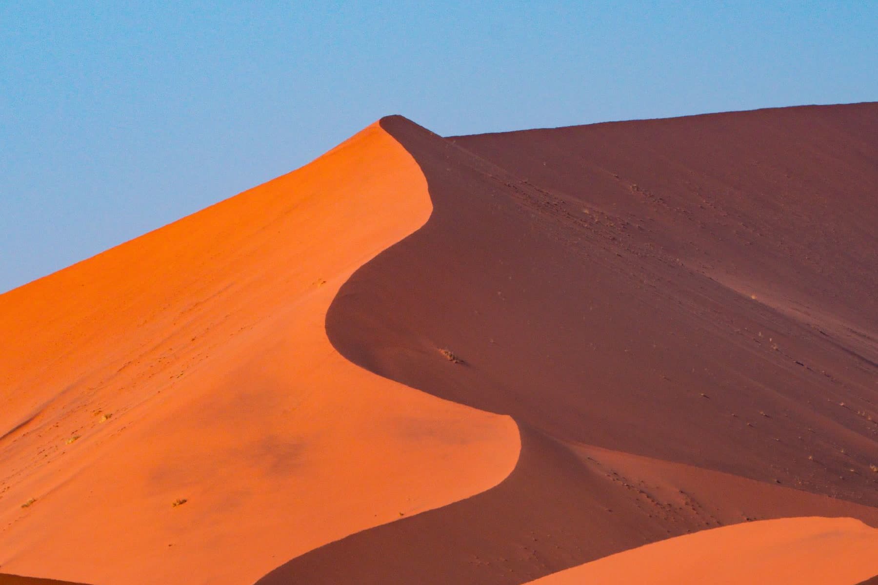 A red dune at Sossusvlei, its crest drawing a hard line between sunlit and shadowed sand.