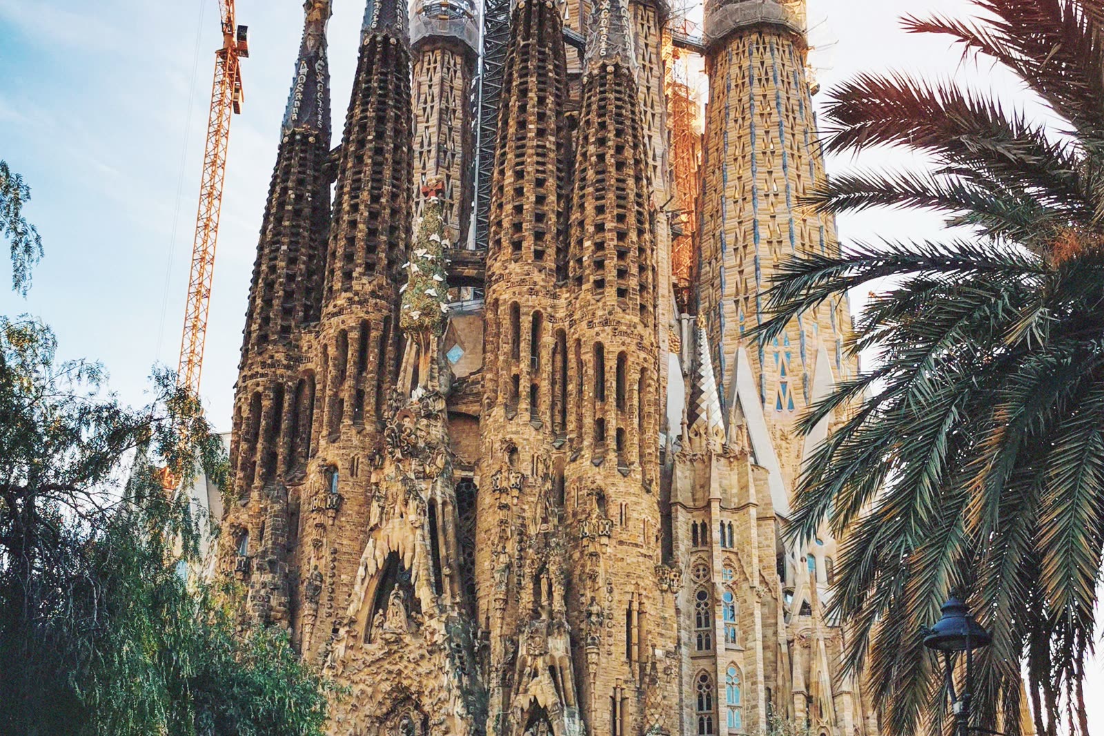 The spires of the Sagrada Família rising above palm fronds.