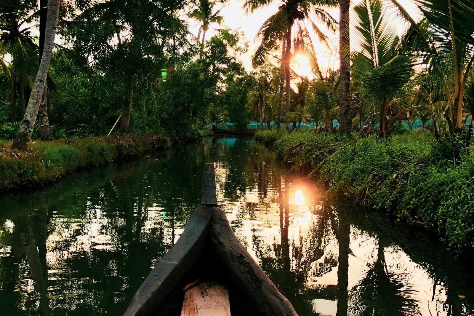 The prow of a canoe on a Kerala backwater at sunset, palms overhanging the channel.