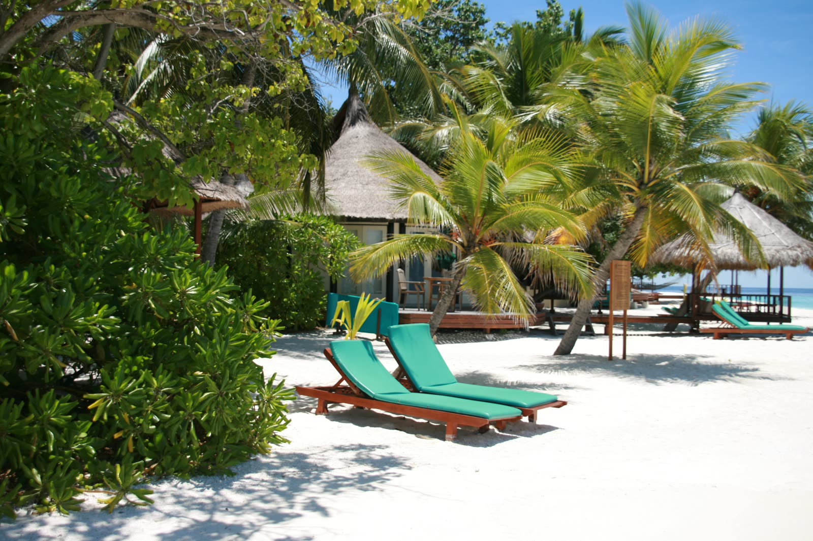 Thatched villas and loungers on a Maldivian beach beneath palms.
