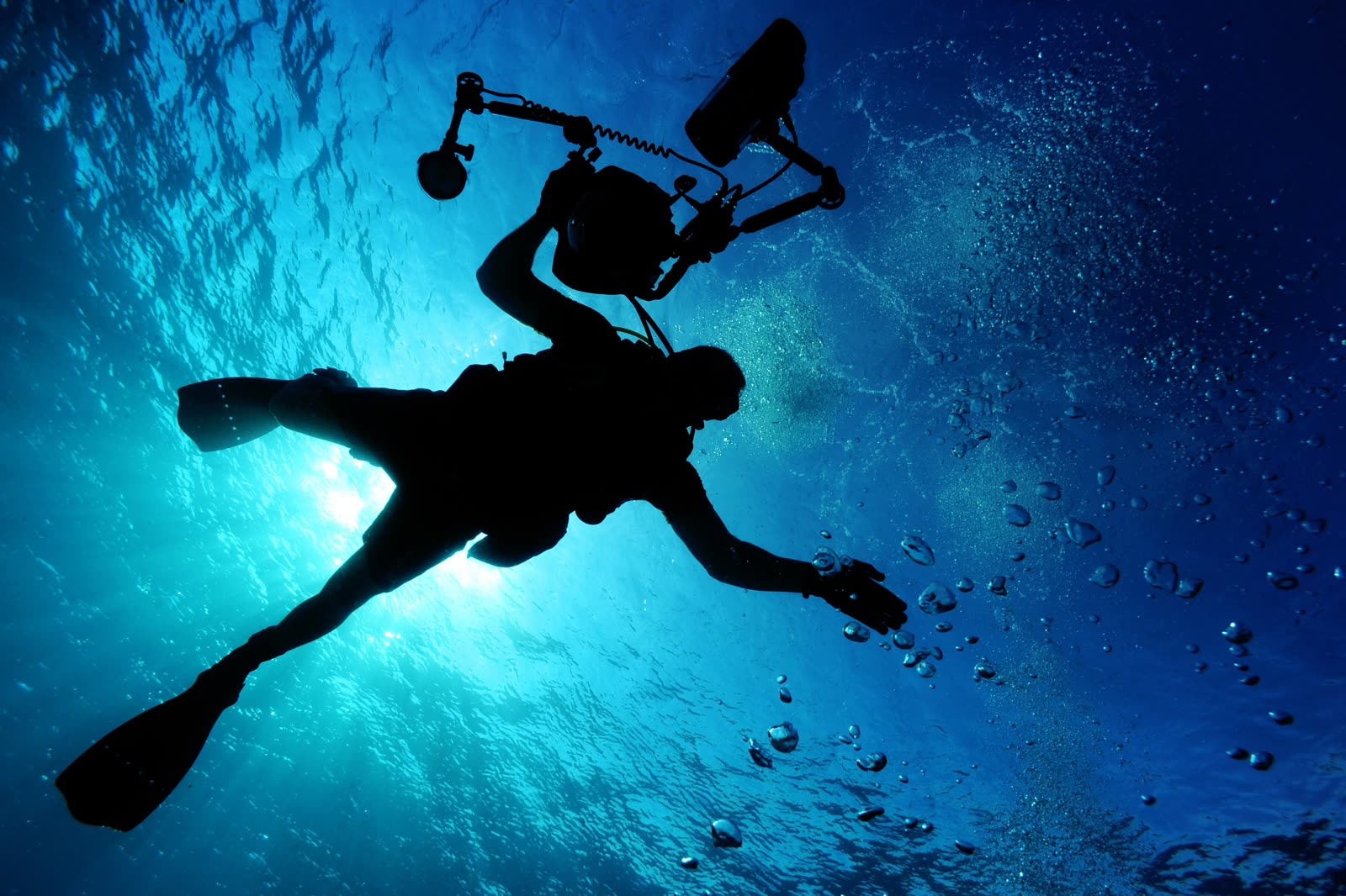 A scuba diver silhouetted against sunlight breaking through the surface.