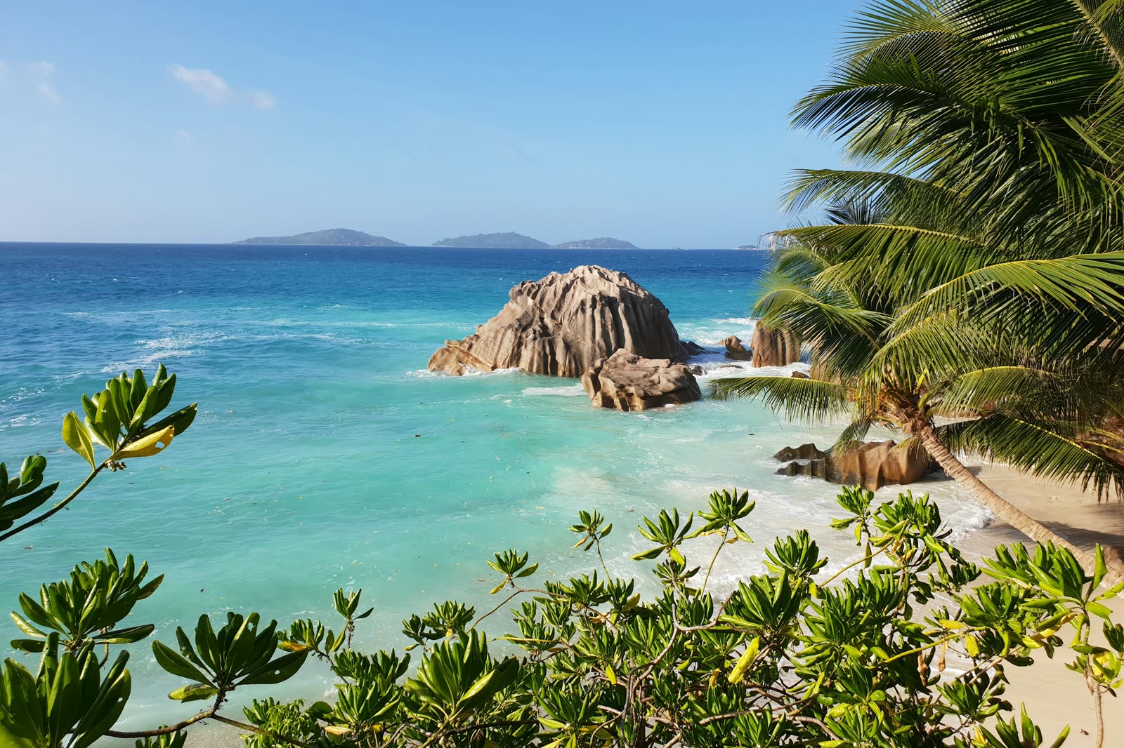 A granite boulder on a palm-fringed Seychelles beach, with turquoise shallows beyond.