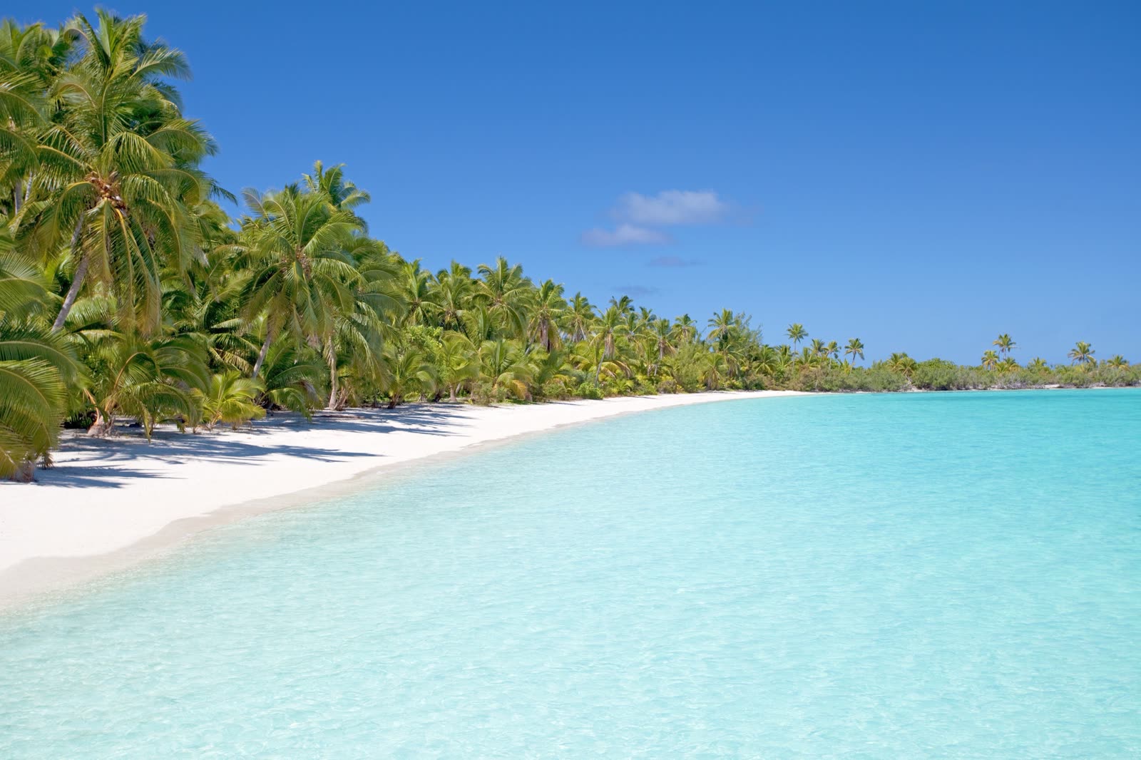 A long white-sand shoreline backed by coconut palms, meeting pale turquoise water.